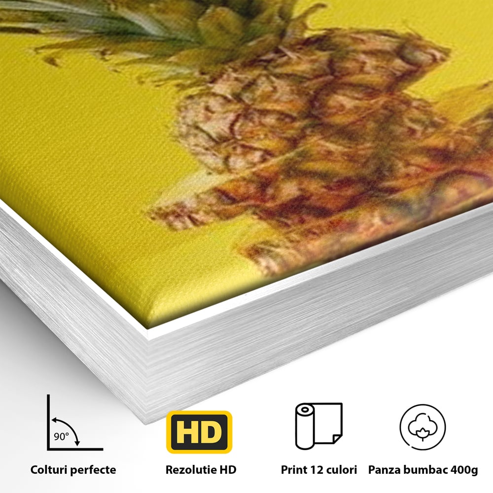 Leinwand Premium Canvas Wall Art, LuxCanva® N1078, Geschmack von Urlaub, Ananas, Obst, Scheiben, tropisch, Energie, Vitamine, süß, frisch, frisch, exotisch, Restaurant, Küche