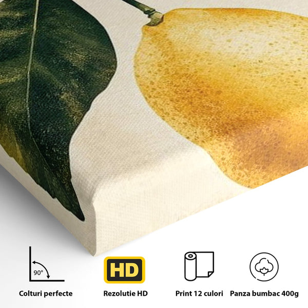 Tablou Canvas Premium, LuxCanva® N1178, Lemon Art, Lamaie, Frunze, Fructe, Fresh, Prospetime, Natural, Pub, Bar, Lounge, Restaurant, Bucatarie