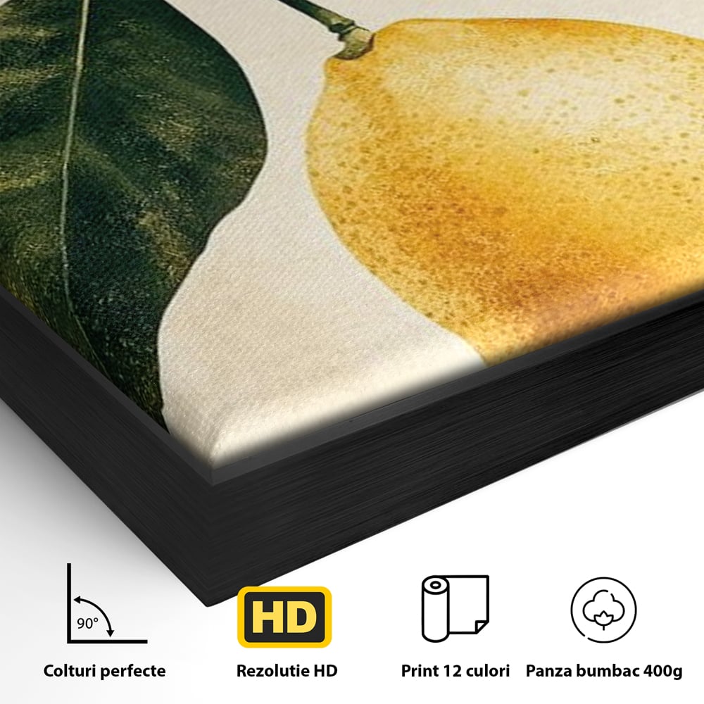 Tablou Canvas Premium, LuxCanva® N1178, Lemon Art, Lamaie, Frunze, Fructe, Fresh, Prospetime, Natural, Pub, Bar, Lounge, Restaurant, Bucatarie