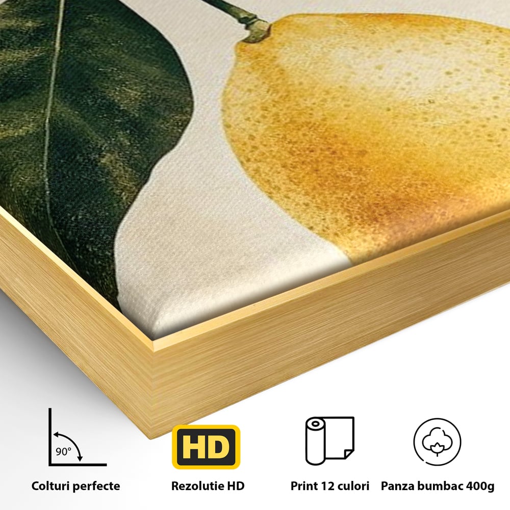 Tablou Canvas Premium, LuxCanva® N1178, Lemon Art, Lamaie, Frunze, Fructe, Fresh, Prospetime, Natural, Pub, Bar, Lounge, Restaurant, Bucatarie