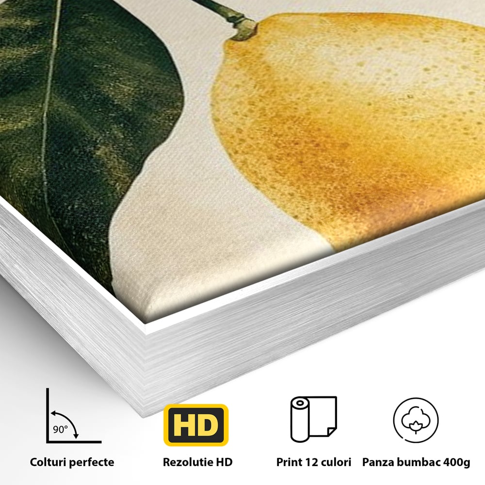 Tablou Canvas Premium, LuxCanva® N1178, Lemon Art, Lamaie, Frunze, Fructe, Fresh, Prospetime, Natural, Pub, Bar, Lounge, Restaurant, Bucatarie