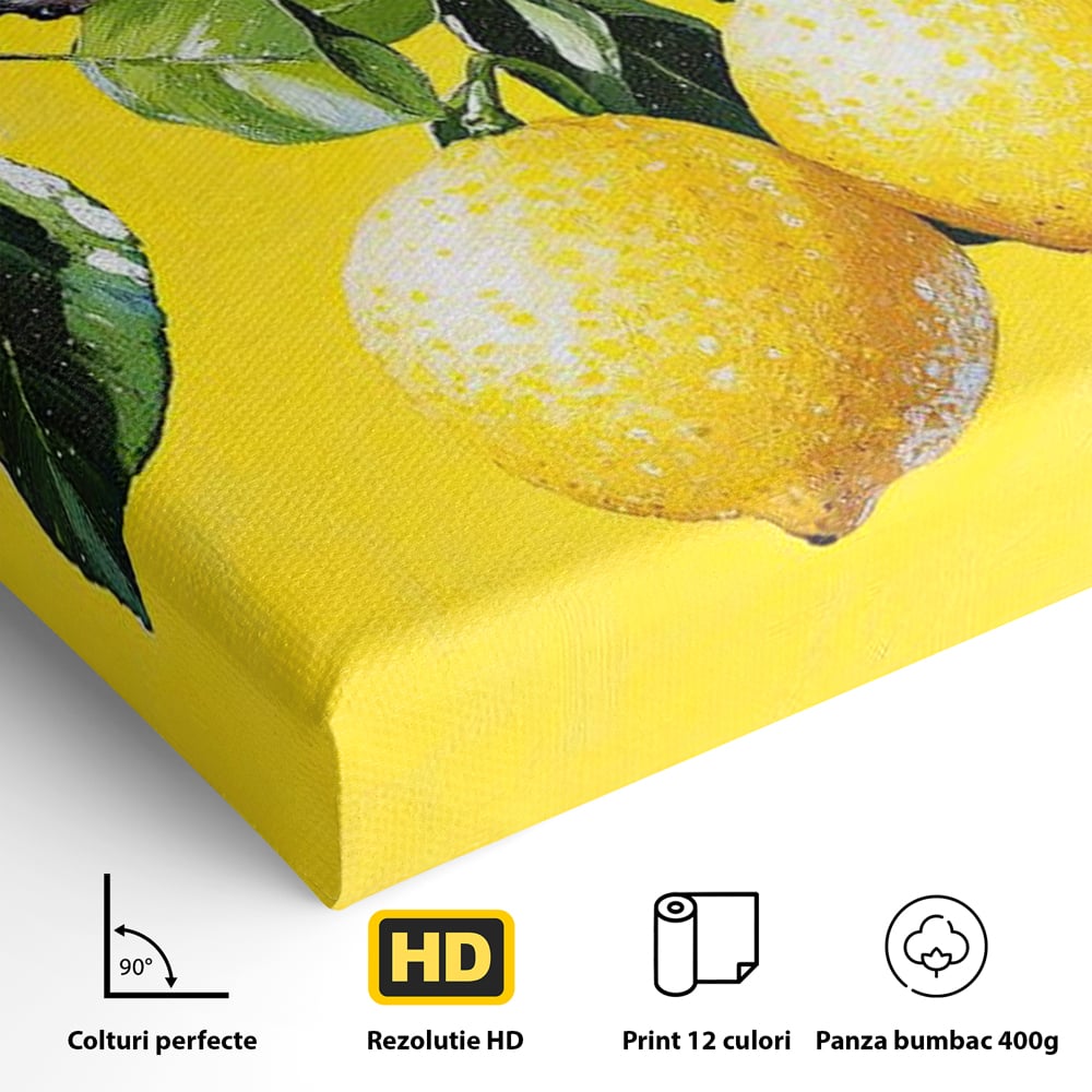 Leinwand Premium Canvas Wall Art, LuxCanva® N1179, Happy Erdbeeren, Limonade, Limonade, Erdbeere, natürlich, Obst, frisch, Kleie, Blätter, Pub, Bar, Lounge, Restaurant, Küche