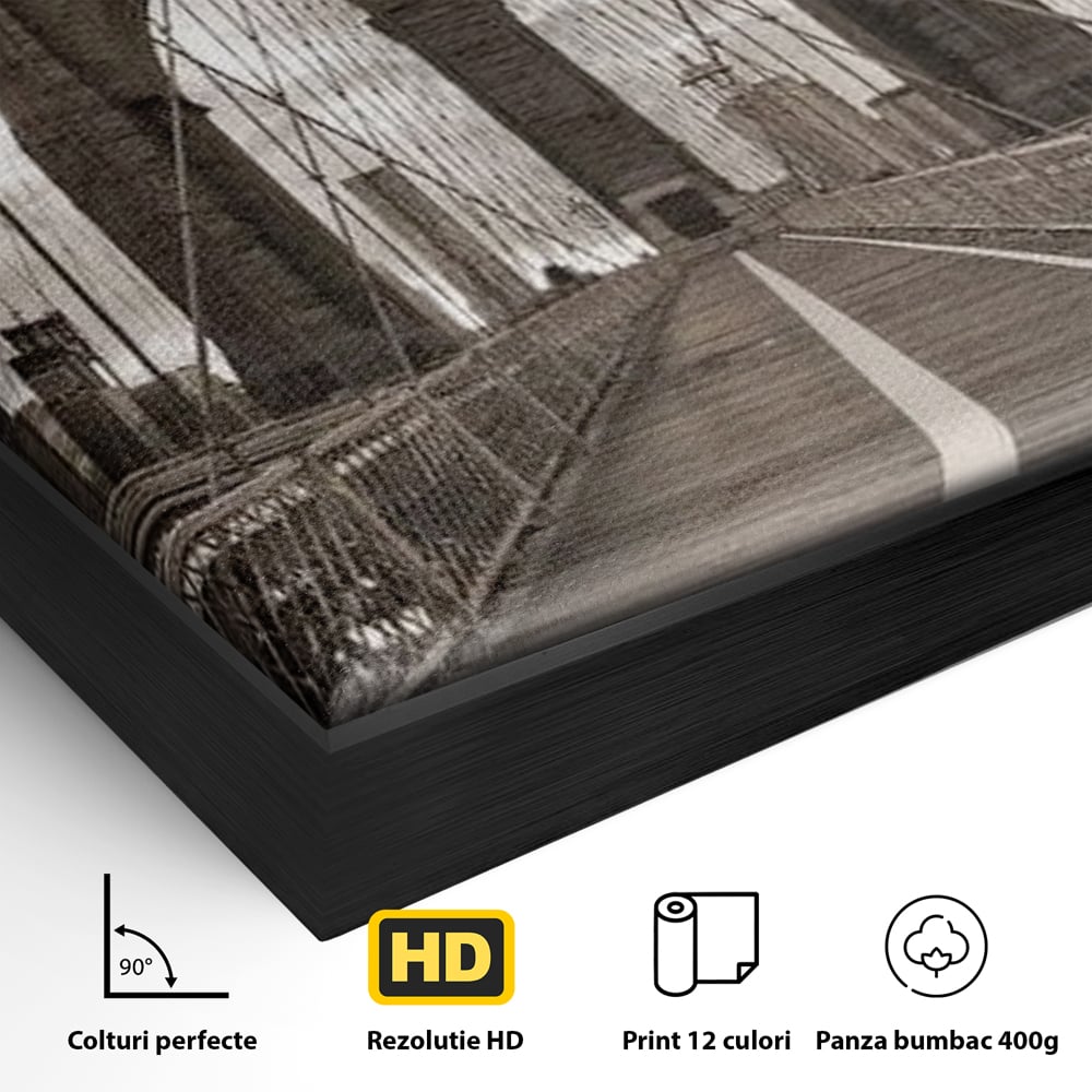 Tablou Canvas Premium, LuxCanva® O1011, Podul dintre Lumi, Otel, Cabluri, Arc, Timp, Drum, Destin, Brooklin, New York, Arhitectura, Monocrom, Fotografic, Metropola, Punte, Birou, Living,