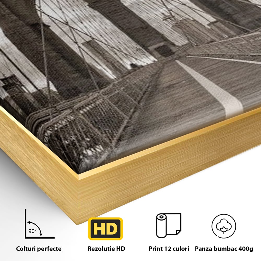 Tablou Canvas Premium, LuxCanva® O1011, Podul dintre Lumi, Otel, Cabluri, Arc, Timp, Drum, Destin, Brooklin, New York, Arhitectura, Monocrom, Fotografic, Metropola, Punte, Birou, Living,