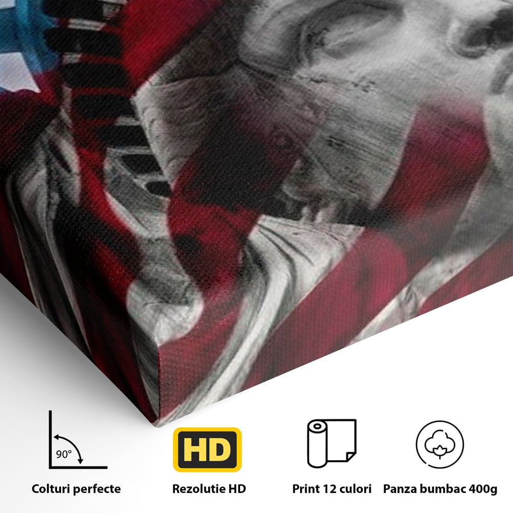 Tablou Canvas Premium, LuxCanva® O1047, Eterna Gardiana, Libertate, America, Spirit, Natiune, Steag, Vis, Patriotism, Simbol, Statuie, Identitate, Independenta, Democratic, Birou, Living, Dormitor