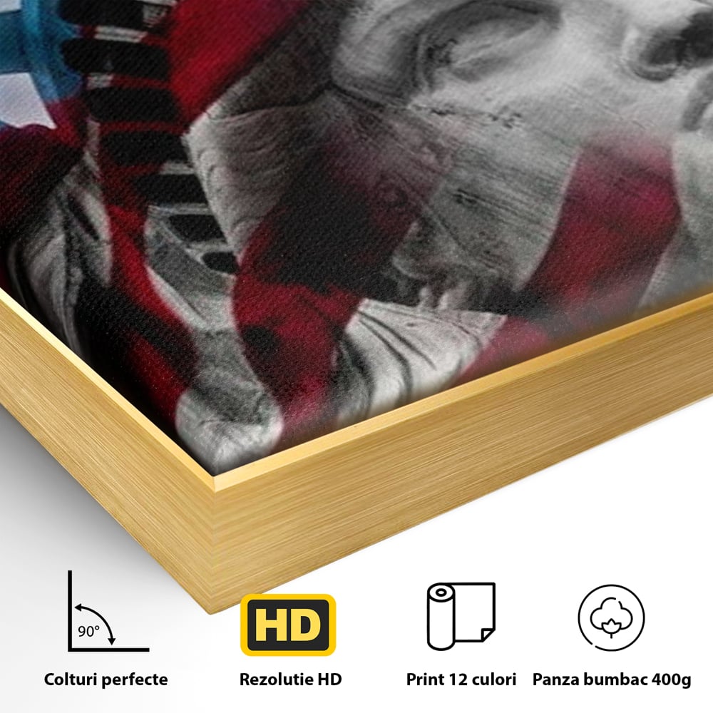 Tablou Canvas Premium, LuxCanva® O1047, Eterna Gardiana, Libertate, America, Spirit, Natiune, Steag, Vis, Patriotism, Simbol, Statuie, Identitate, Independenta, Democratic, Birou, Living, Dormitor