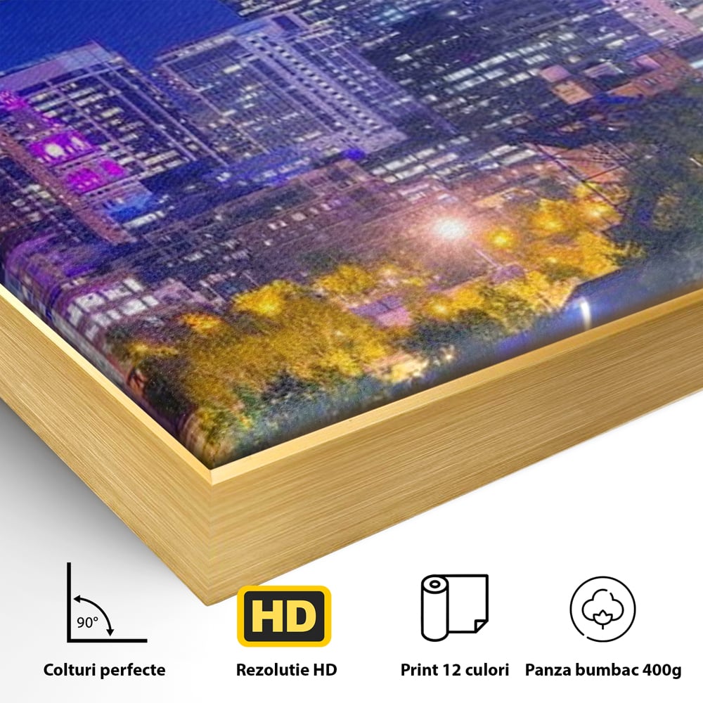 Tablou Canvas Premium, LuxCanva® O1062, Sub Stralucirea Astrala, Luna, Plina, Feerie, Magie, Nocturn, Denver, Poezie, Mister, Vis, Serenitate, Metropola, Albastru, Cosmic, Birou, Living, Dormitor