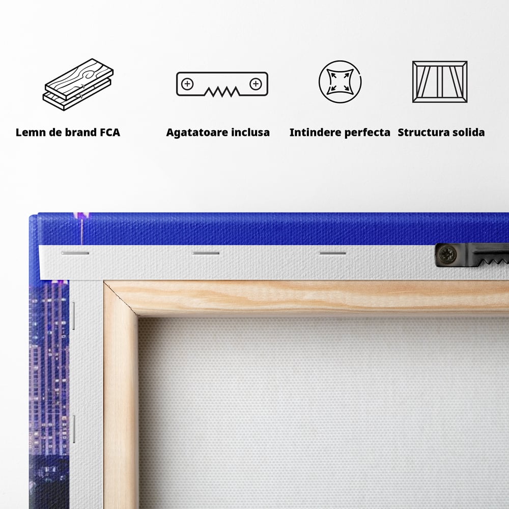 Tablou Canvas Premium, LuxCanva® O1062, Sub Stralucirea Astrala, Luna, Plina, Feerie, Magie, Nocturn, Denver, Poezie, Mister, Vis, Serenitate, Metropola, Albastru, Cosmic, Birou, Living, Dormitor