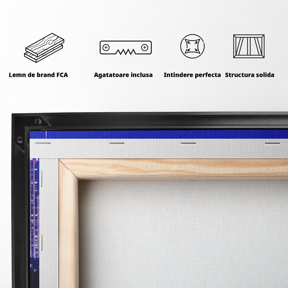 Tablou Canvas Premium, LuxCanva® O1062, Sub Stralucirea Astrala, Luna, Plina, Feerie, Magie, Nocturn, Denver, Poezie, Mister, Vis, Serenitate, Metropola, Albastru, Cosmic, Birou, Living, Dormitor