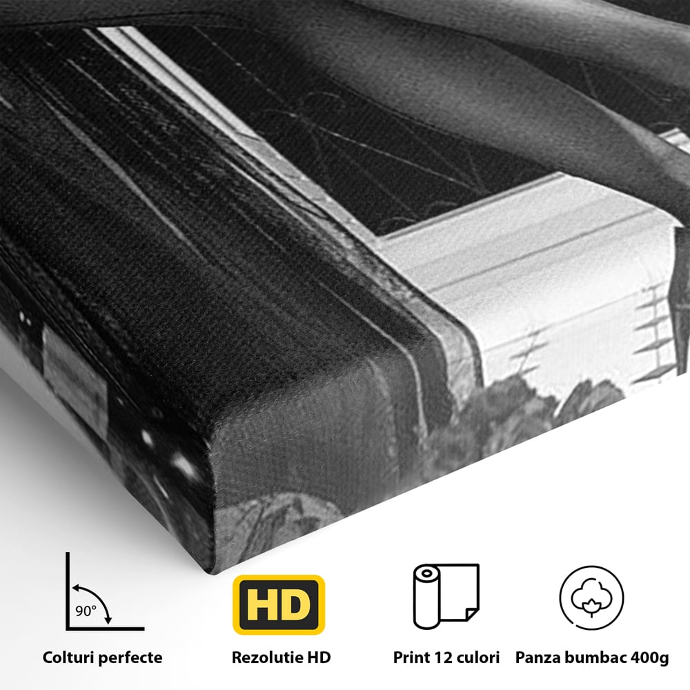 Tablou Canvas Premium, LuxCanva® P1002, Moment la Miezul Noptii, Alb, Negru, Pantofi, Toc, Dresuri, Paris, Vin, Rosu, Hotel, Dantela, Silueta, Trandafiri, Senzualitate, Living, Dormitor