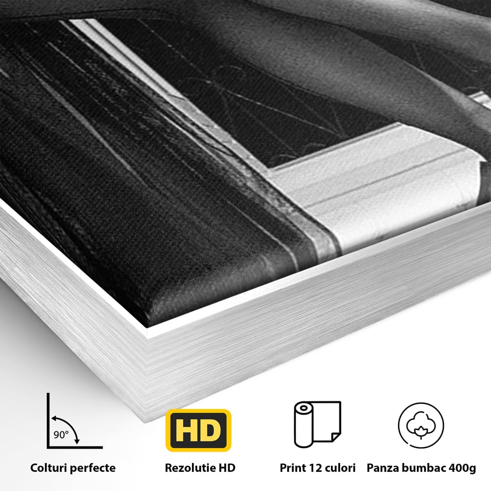 Tablou Canvas Premium, LuxCanva® P1002, Moment la Miezul Noptii, Alb, Negru, Pantofi, Toc, Dresuri, Paris, Vin, Rosu, Hotel, Dantela, Silueta, Trandafiri, Senzualitate, Living, Dormitor