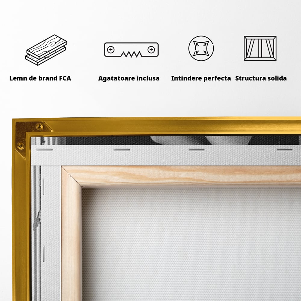 Tablou Canvas Premium, LuxCanva® P1002, Moment la Miezul Noptii, Alb, Negru, Pantofi, Toc, Dresuri, Paris, Vin, Rosu, Hotel, Dantela, Silueta, Trandafiri, Senzualitate, Living, Dormitor