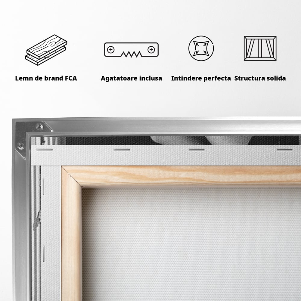Tablou Canvas Premium, LuxCanva® P1002, Moment la Miezul Noptii, Alb, Negru, Pantofi, Toc, Dresuri, Paris, Vin, Rosu, Hotel, Dantela, Silueta, Trandafiri, Senzualitate, Living, Dormitor