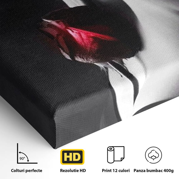 Tablou Canvas Premium, LuxCanva® P1003, Ecouri ale Pielii,  Alb, Negru, Rosu, Trandafir, Piele, Misterios, Dor, Visare, Femeie, Profil, Iubire, Romantism, Sexy, Living, Dormitor