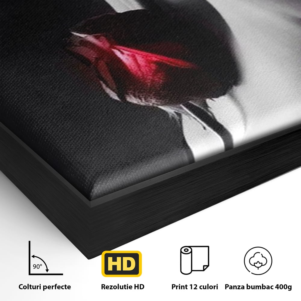 Tablou Canvas Premium, LuxCanva® P1003, Ecouri ale Pielii,  Alb, Negru, Rosu, Trandafir, Piele, Misterios, Dor, Visare, Femeie, Profil, Iubire, Romantism, Sexy, Living, Dormitor