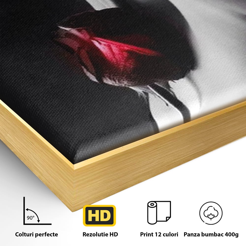 Tablou Canvas Premium, LuxCanva® P1003, Ecouri ale Pielii,  Alb, Negru, Rosu, Trandafir, Piele, Misterios, Dor, Visare, Femeie, Profil, Iubire, Romantism, Sexy, Living, Dormitor