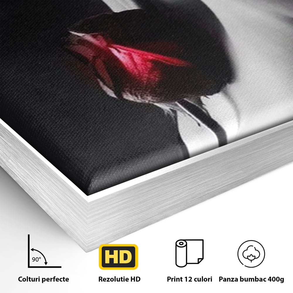 Tablou Canvas Premium, LuxCanva® P1003, Ecouri ale Pielii,  Alb, Negru, Rosu, Trandafir, Piele, Misterios, Dor, Visare, Femeie, Profil, Iubire, Romantism, Sexy, Living, Dormitor