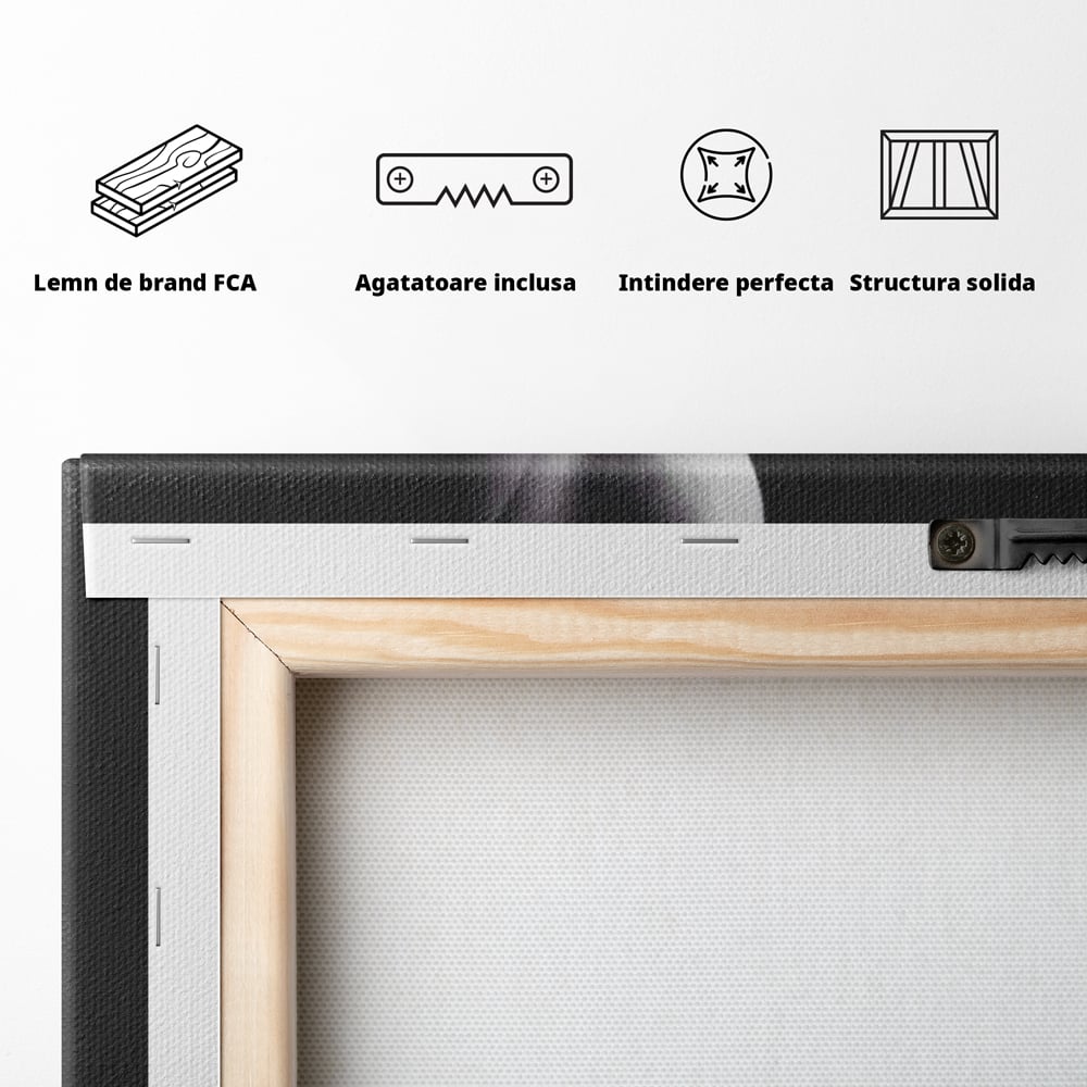 Tablou Canvas Premium, LuxCanva® P1003, Ecouri ale Pielii,  Alb, Negru, Rosu, Trandafir, Piele, Misterios, Dor, Visare, Femeie, Profil, Iubire, Romantism, Sexy, Living, Dormitor