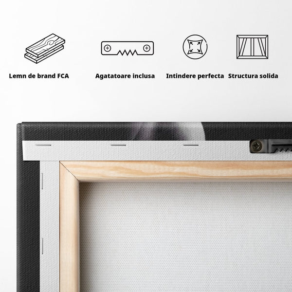 Tablou Canvas Premium, LuxCanva® P1003, Ecouri ale Pielii,  Alb, Negru, Rosu, Trandafir, Piele, Misterios, Dor, Visare, Femeie, Profil, Iubire, Romantism, Sexy, Living, Dormitor