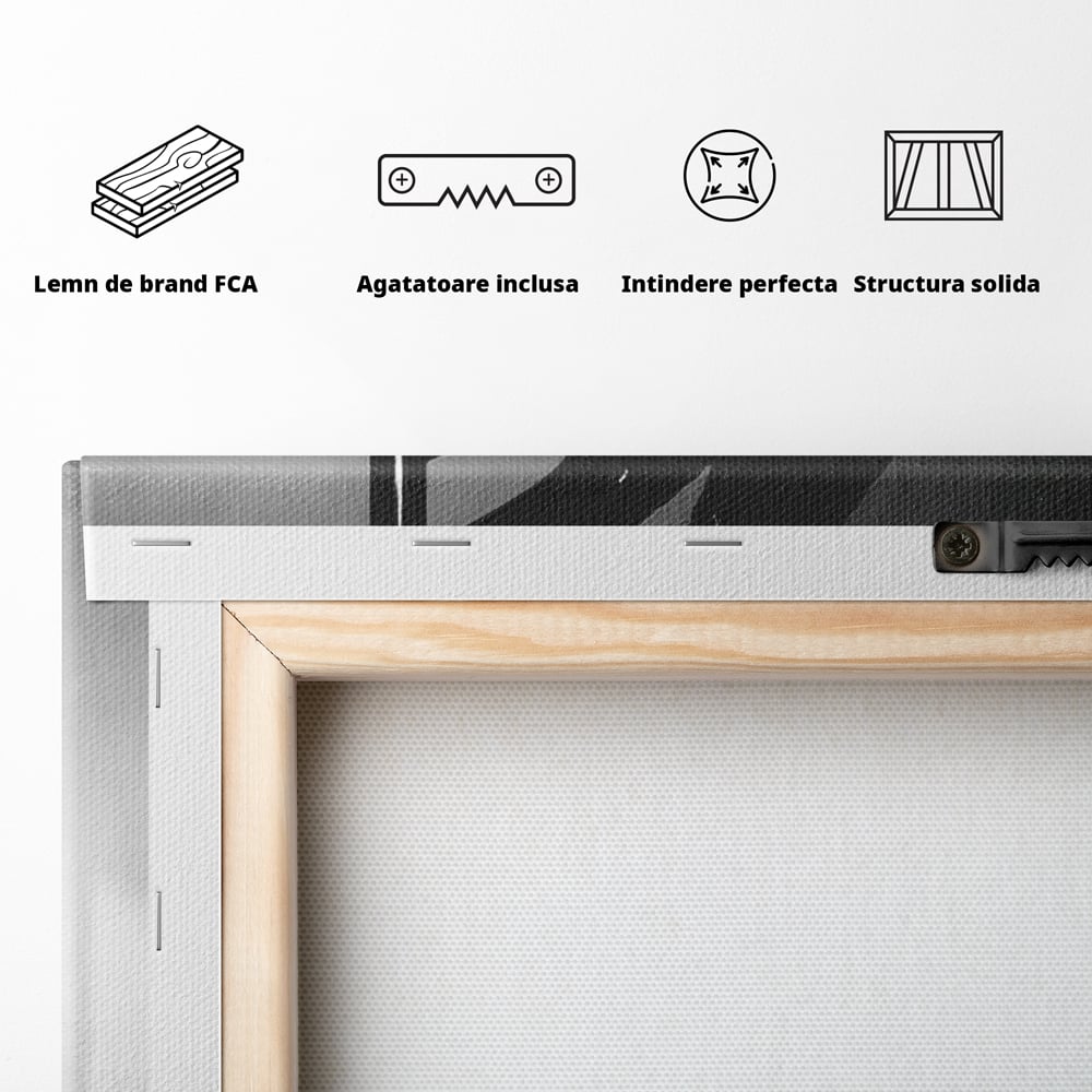 Leinwand Premium Canvas Wandkunst, LuxCanva® P1004, Geometrie der Verführung, Weiß, Schwarz, Drapierung, Netz, Tanz, künstlerisch, Bewegung, Schuhe, Podeste, Füße, sinnlich, sexy, sexy, Wohnen, Schlafzimmer