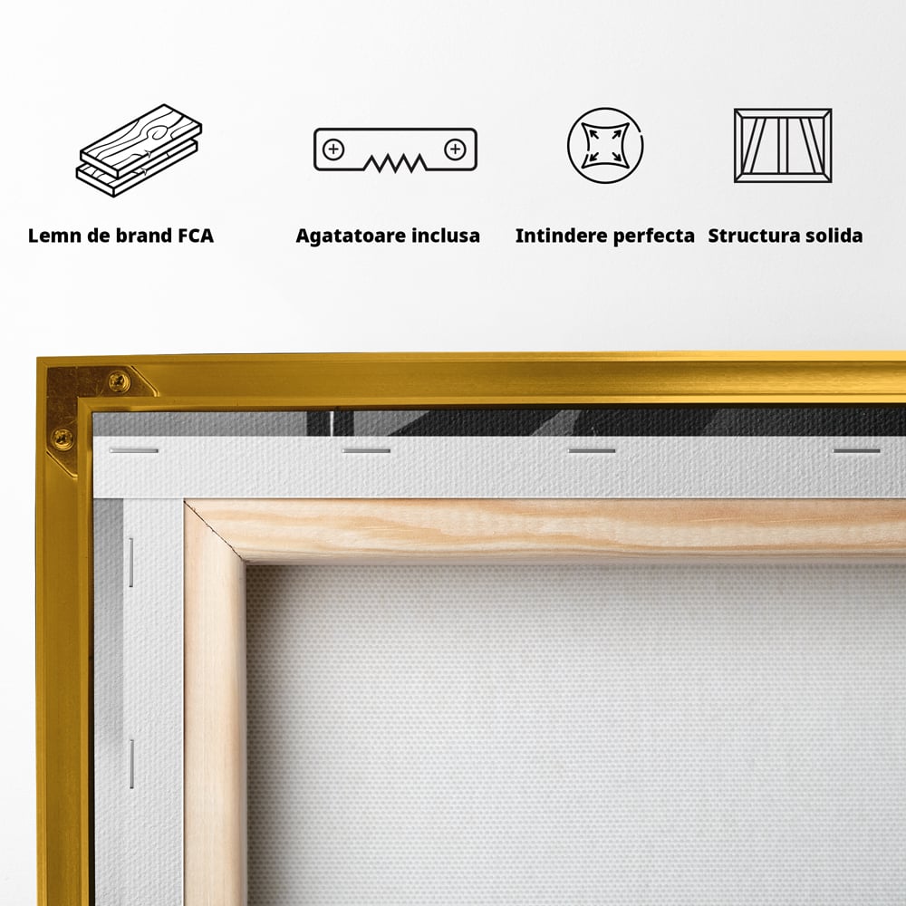 Leinwand Premium Canvas Wandkunst, LuxCanva® P1004, Geometrie der Verführung, Weiß, Schwarz, Drapierung, Netz, Tanz, künstlerisch, Bewegung, Schuhe, Podeste, Füße, sinnlich, sexy, sexy, Wohnen, Schlafzimmer