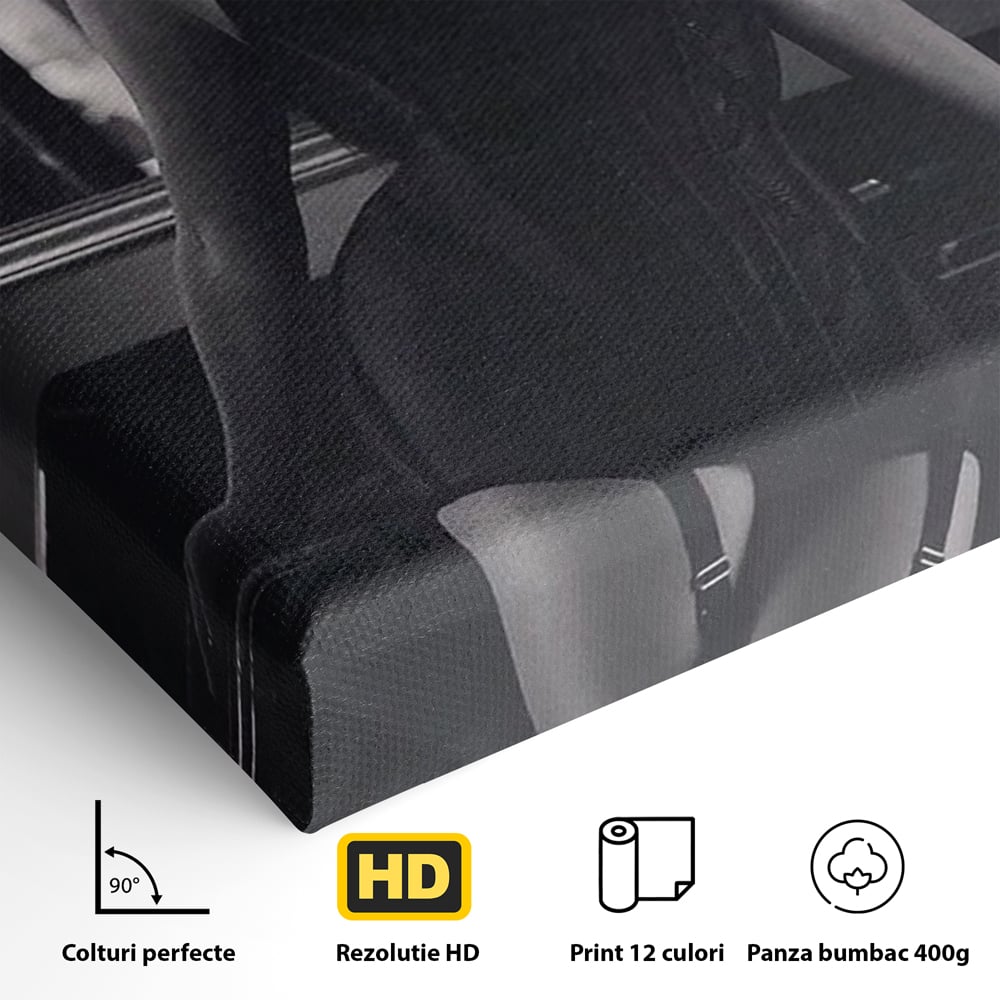 Tablou Canvas Premium, LuxCanva® P1008, Sub Lumina Difuza, Interzis, Sexy, Femeie, Trup, Pasiune, Dorinta, Silueta, Umbre, Negru, Boudoir, Oglinda, Senzual, Living, Dormitor