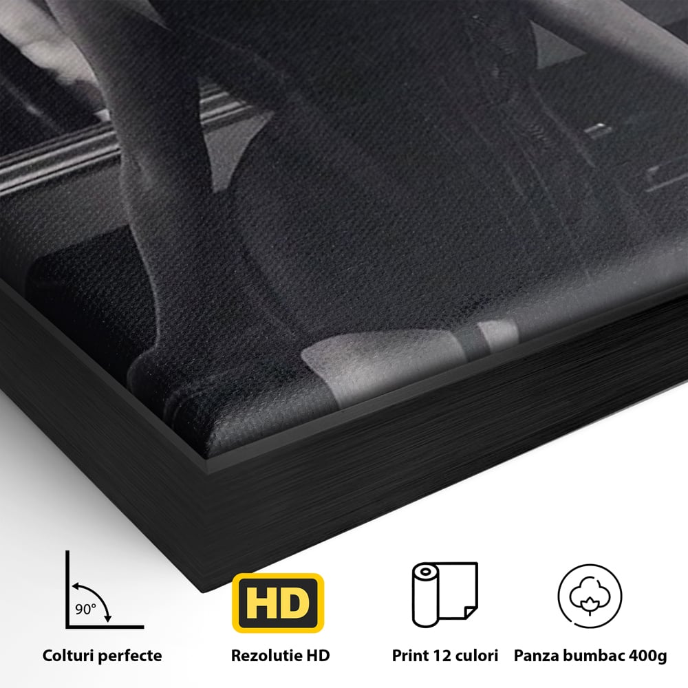 Tablou Canvas Premium, LuxCanva® P1008, Sub Lumina Difuza, Interzis, Sexy, Femeie, Trup, Pasiune, Dorinta, Silueta, Umbre, Negru, Boudoir, Oglinda, Senzual, Living, Dormitor