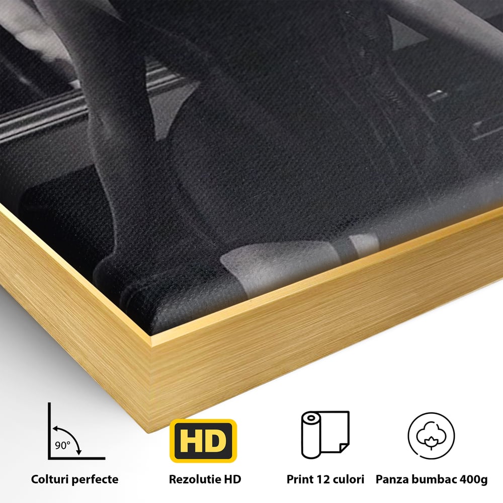 Tablou Canvas Premium, LuxCanva® P1008, Sub Lumina Difuza, Interzis, Sexy, Femeie, Trup, Pasiune, Dorinta, Silueta, Umbre, Negru, Boudoir, Oglinda, Senzual, Living, Dormitor