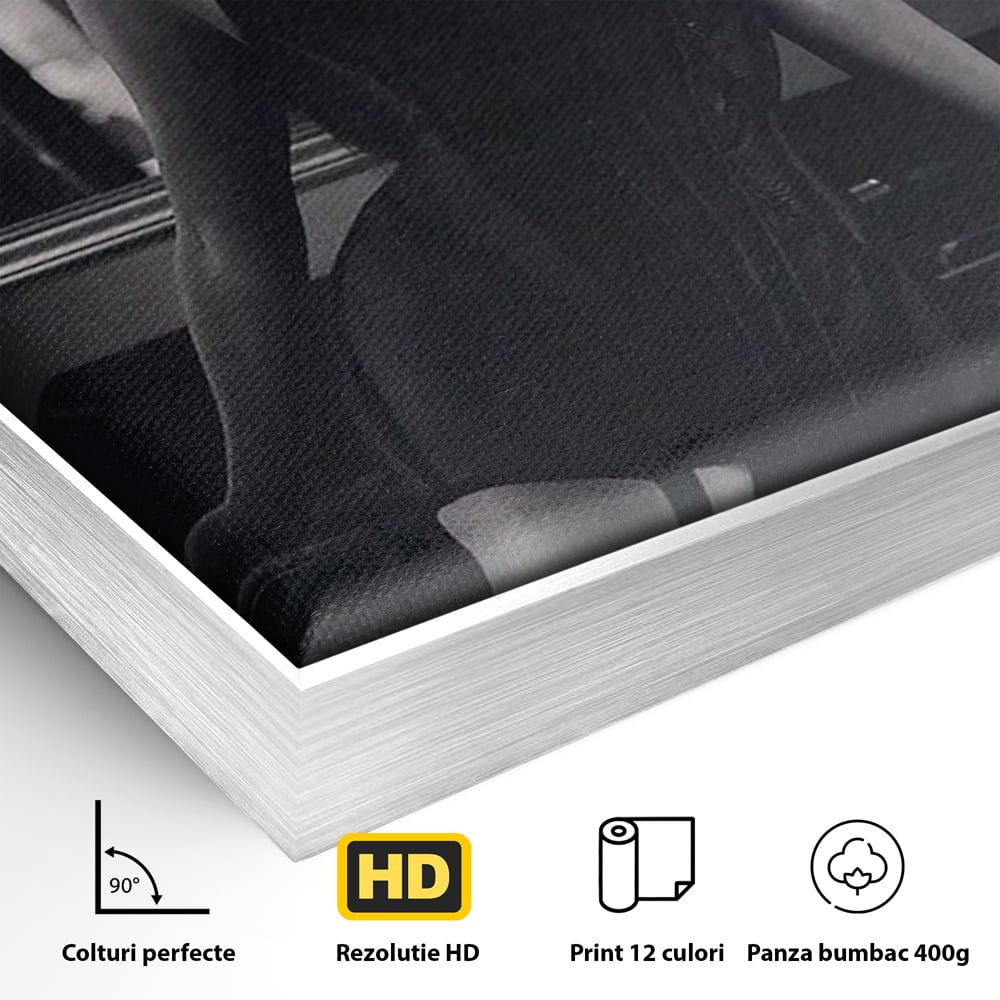 Tablou Canvas Premium, LuxCanva® P1008, Sub Lumina Difuza, Interzis, Sexy, Femeie, Trup, Pasiune, Dorinta, Silueta, Umbre, Negru, Boudoir, Oglinda, Senzual, Living, Dormitor