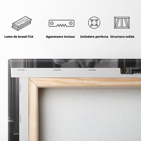 Tablou Canvas Premium, LuxCanva® P1008, Sub Lumina Difuza, Interzis, Sexy, Femeie, Trup, Pasiune, Dorinta, Silueta, Umbre, Negru, Boudoir, Oglinda, Senzual, Living, Dormitor