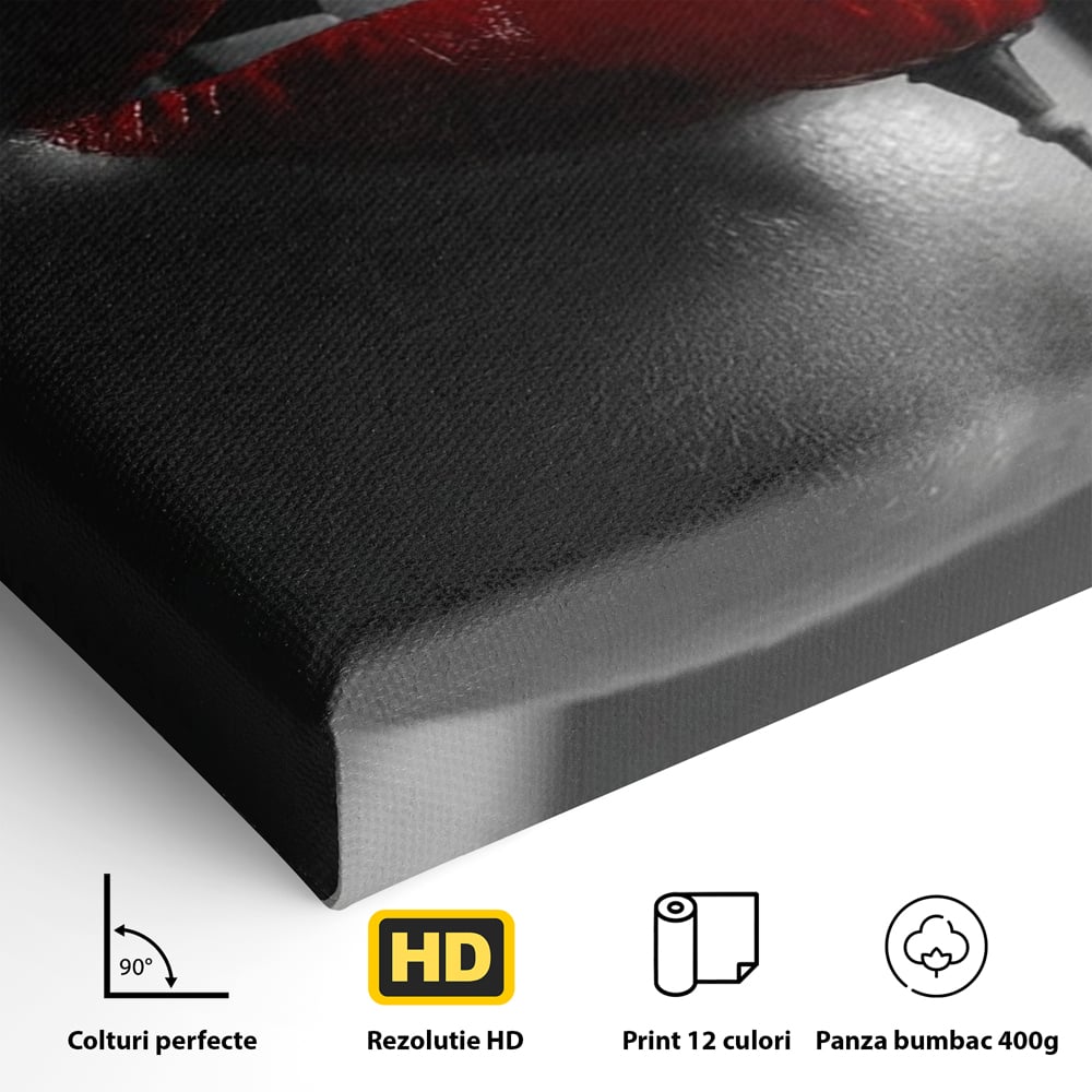 Tablou Canvas Premium, LuxCanva® P1011, Sărutul Macului, Rosu, Floare, Mac, Buze, Tacere, Seductie, Murmur, Petale, Inocenta, Foc, Sexy, Dorinta, Pasiune, Viata, Living, Dormitor