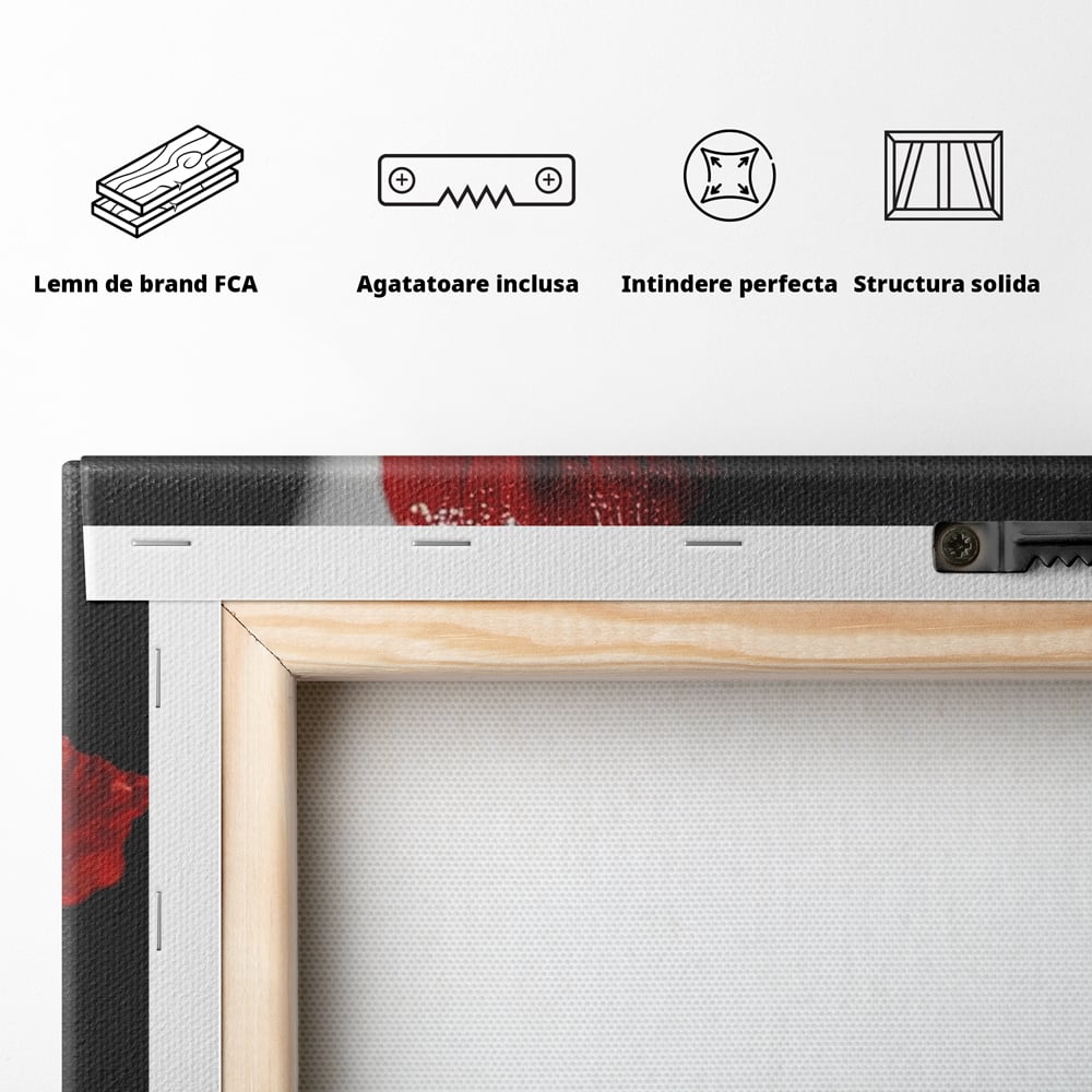 Tablou Canvas Premium, LuxCanva® P1011, Sărutul Macului, Rosu, Floare, Mac, Buze, Tacere, Seductie, Murmur, Petale, Inocenta, Foc, Sexy, Dorinta, Pasiune, Viata, Living, Dormitor