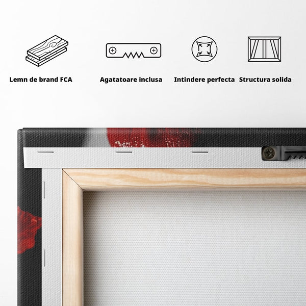Tablou Canvas Premium, LuxCanva® P1011, Sărutul Macului, Rosu, Floare, Mac, Buze, Tacere, Seductie, Murmur, Petale, Inocenta, Foc, Sexy, Dorinta, Pasiune, Viata, Living, Dormitor
