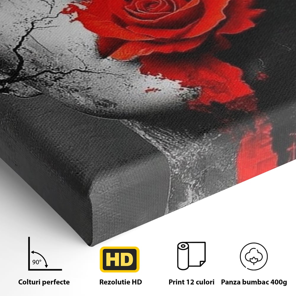 Leinwand Premium Canvas Wandbilder, LuxCanva® P1012, Risse in der Seele, Rot, Blume, Hut, Bruch, Licht, Dunkelheit, Finsternis, Gesicht, Portrait, Ruinen, Dualität, Sinnlichkeit, Wohnen, Schlafzimmer