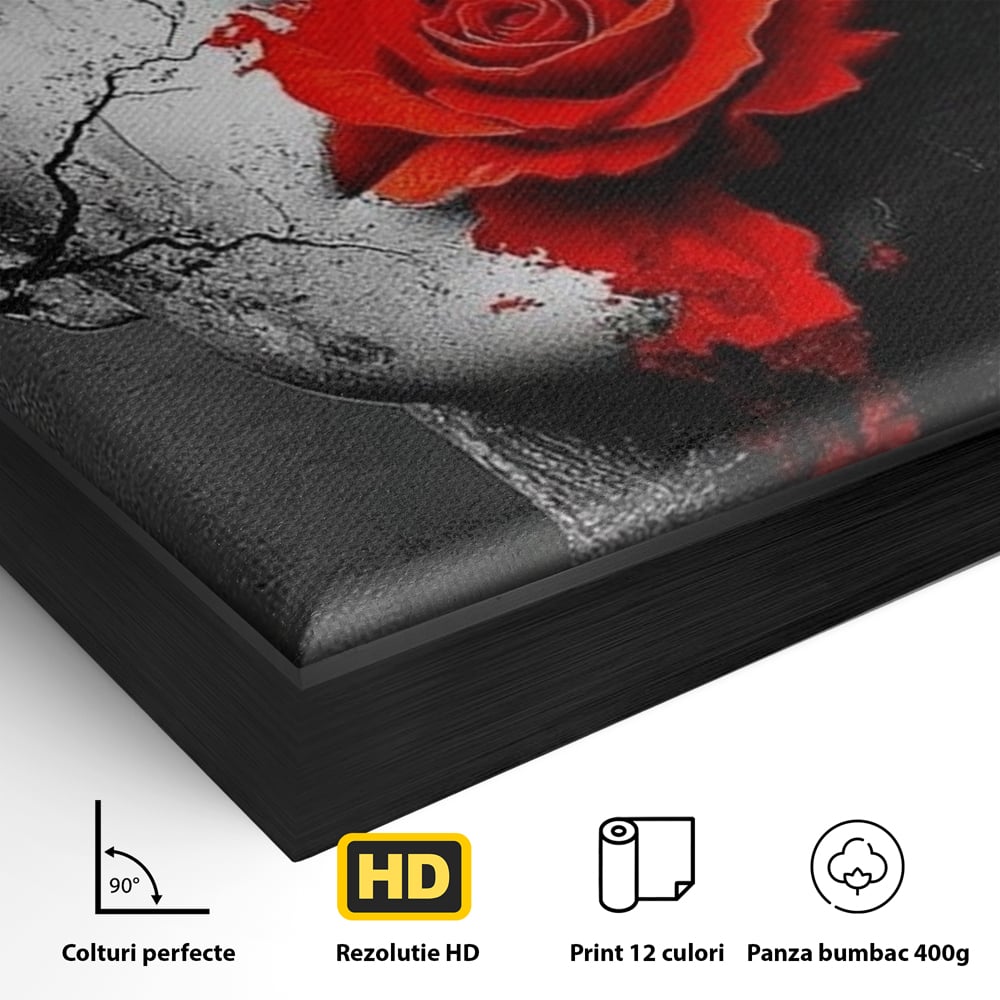Leinwand Premium Canvas Wandbilder, LuxCanva® P1012, Risse in der Seele, Rot, Blume, Hut, Bruch, Licht, Dunkelheit, Finsternis, Gesicht, Portrait, Ruinen, Dualität, Sinnlichkeit, Wohnen, Schlafzimmer