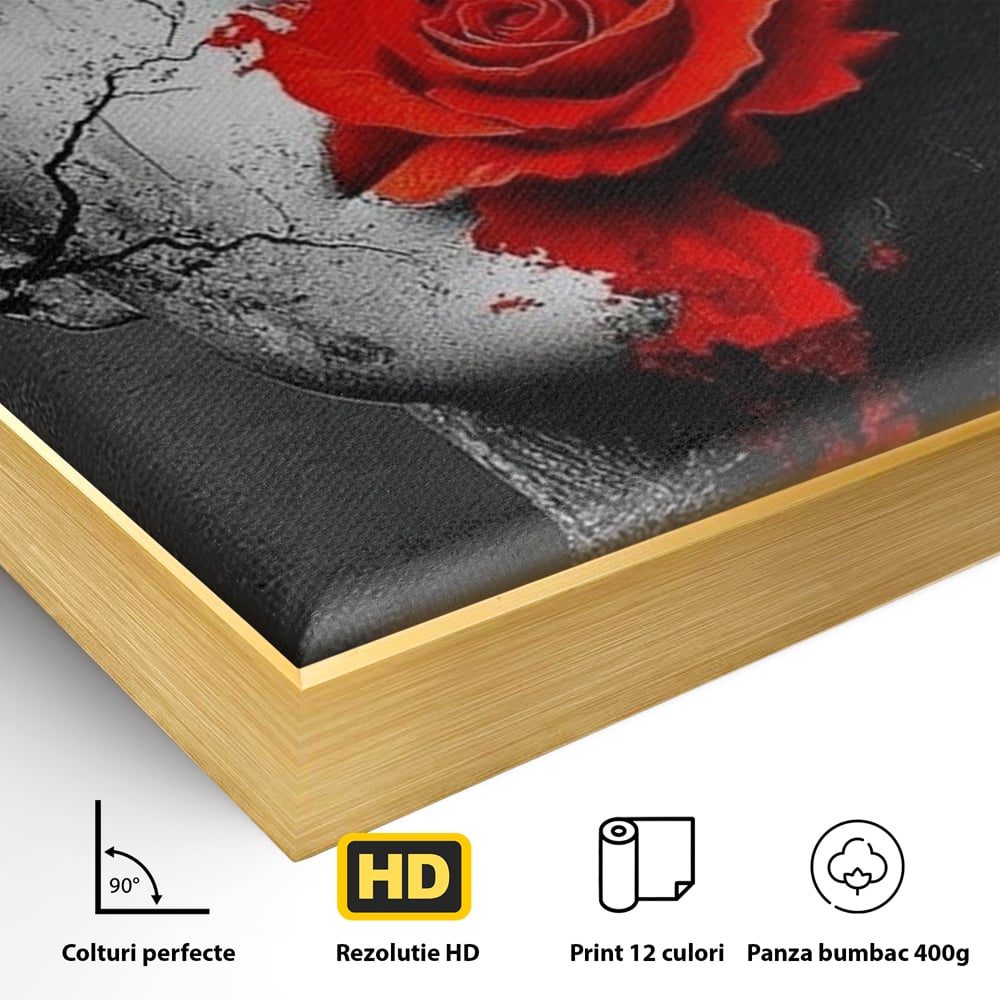 Leinwand Premium Canvas Wandbilder, LuxCanva® P1012, Risse in der Seele, Rot, Blume, Hut, Bruch, Licht, Dunkelheit, Finsternis, Gesicht, Portrait, Ruinen, Dualität, Sinnlichkeit, Wohnen, Schlafzimmer