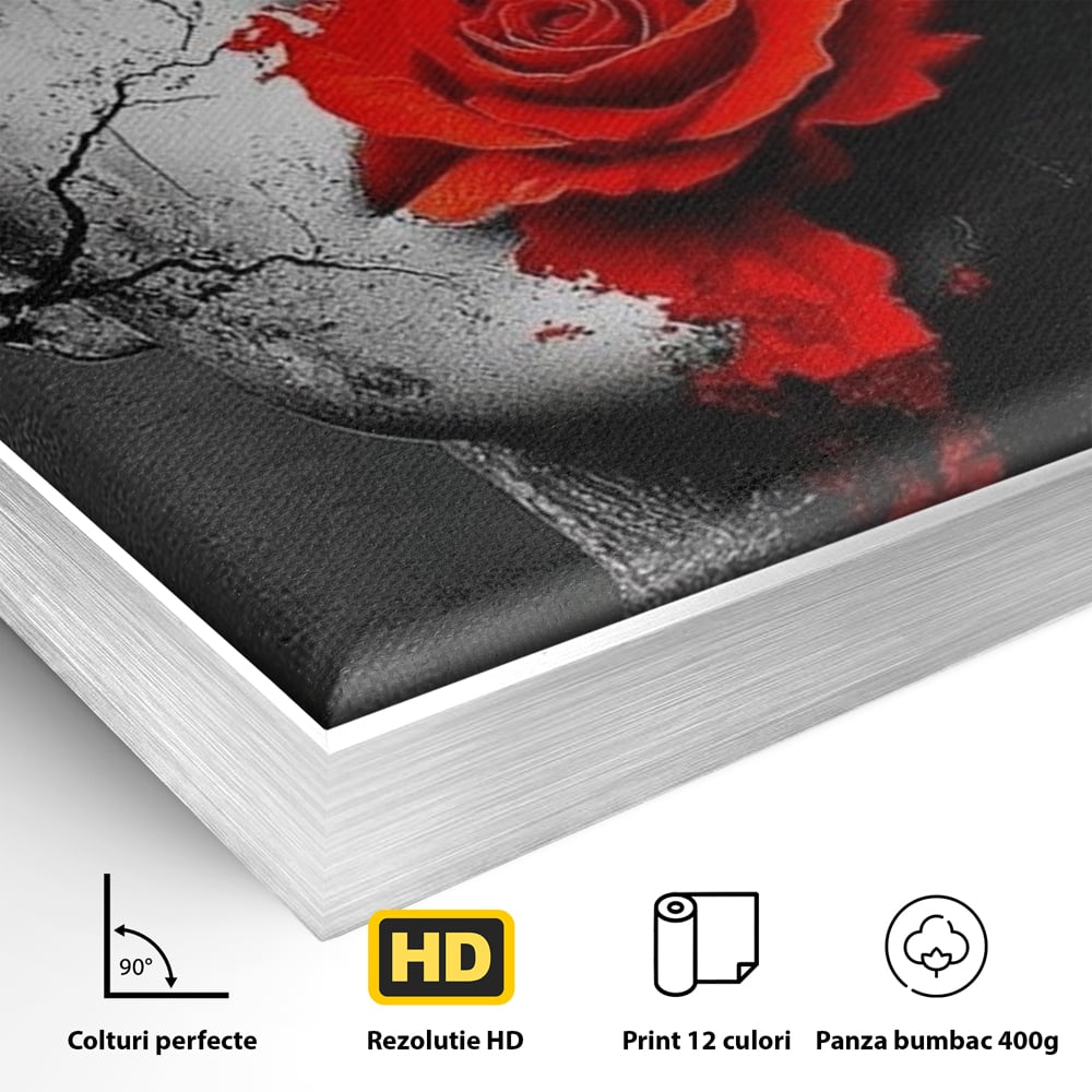 Leinwand Premium Canvas Wandbilder, LuxCanva® P1012, Risse in der Seele, Rot, Blume, Hut, Bruch, Licht, Dunkelheit, Finsternis, Gesicht, Portrait, Ruinen, Dualität, Sinnlichkeit, Wohnen, Schlafzimmer