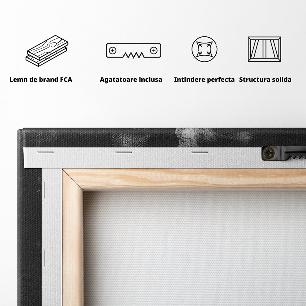 Leinwand Premium Canvas Wandbilder, LuxCanva® P1012, Risse in der Seele, Rot, Blume, Hut, Bruch, Licht, Dunkelheit, Finsternis, Gesicht, Portrait, Ruinen, Dualität, Sinnlichkeit, Wohnen, Schlafzimmer