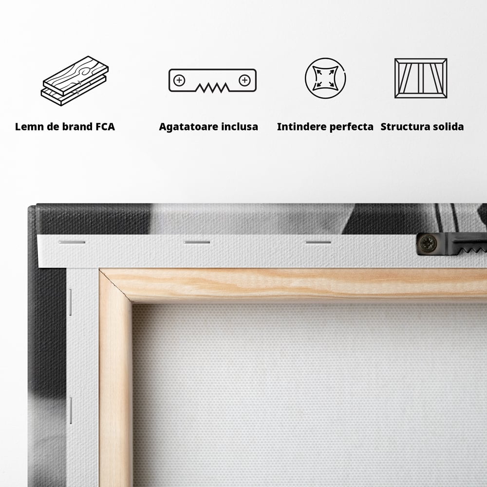 Tablou Canvas Premium, LuxCanva® P1014, Femeia care Pleacă, Picioare, Pantofi, Toc, Dresuri, Pasi, Catifea, Noapte, Intalnire, Scena, Film, Ganduri, Tacere, Aventura, Living, Dormitor