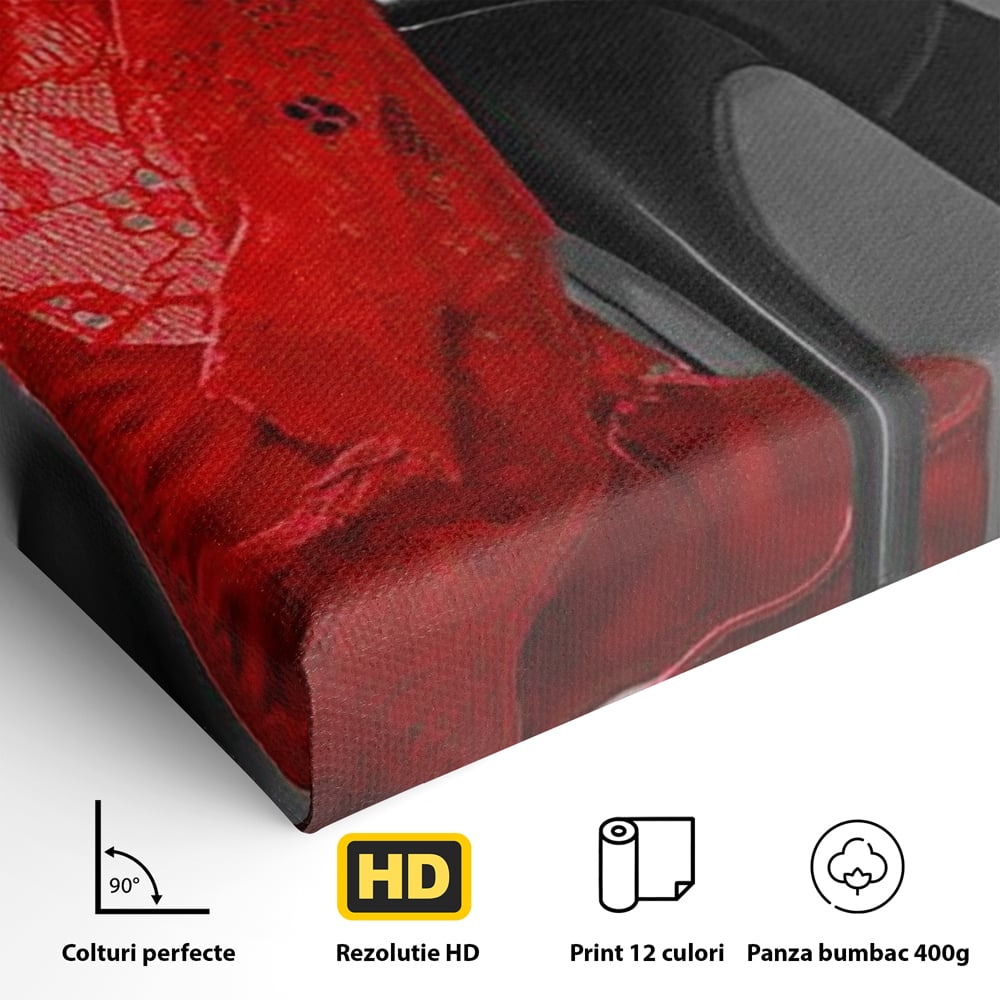 Tablou Canvas Premium, LuxCanva® P1015, Ultimul Pas al Seductiei, Feminin, Senzual, Sexy, Dantela, Stiletto, Pantofi, Pasiune, Alb si Negru, Dormitor, Living