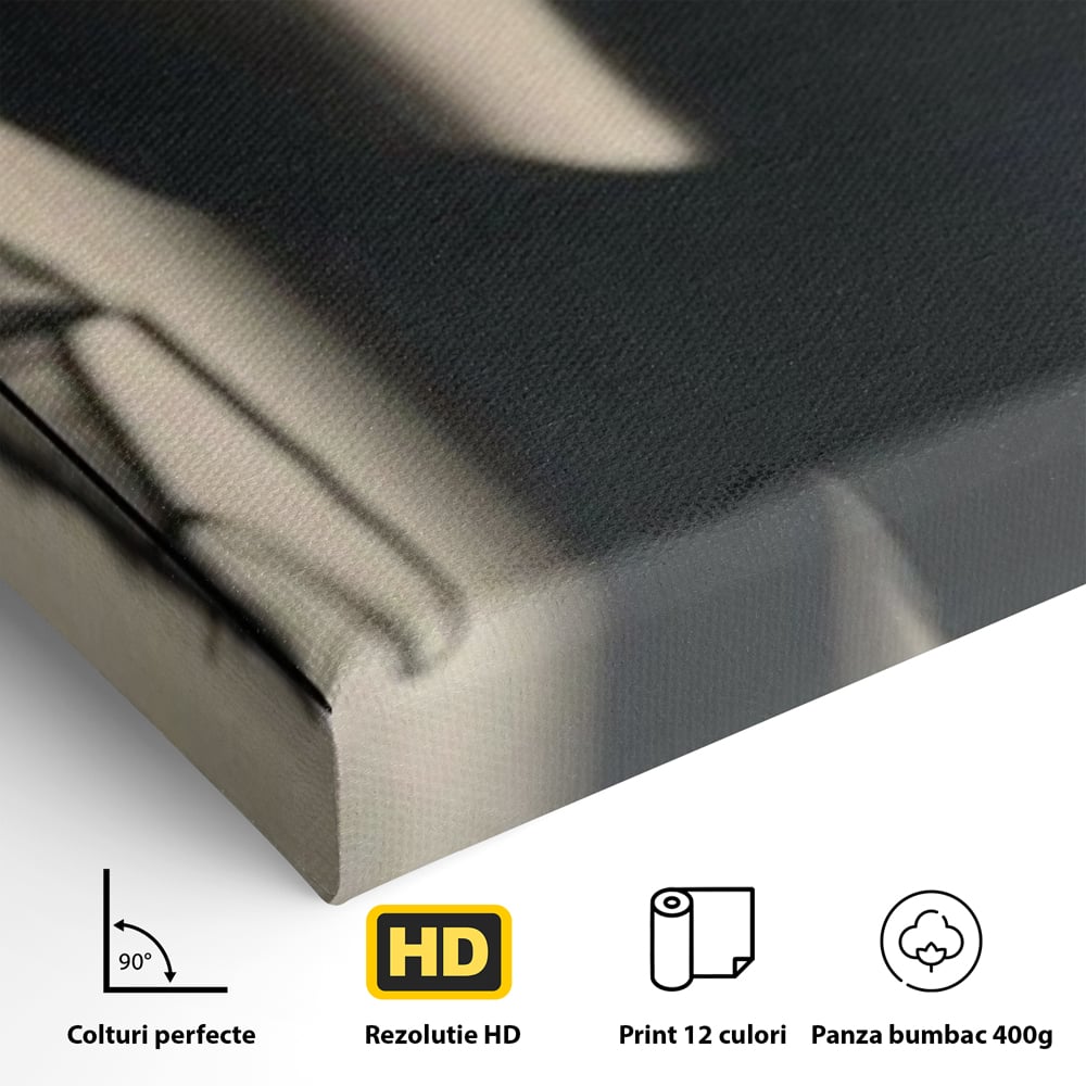 Tablou Canvas Premium, LuxCanva® P1016, Umbra Indrazneata, Silueta, Mister, Intimitate, Femeie, Senzual, Sexy, Alb, Negru, Dormitor, Living