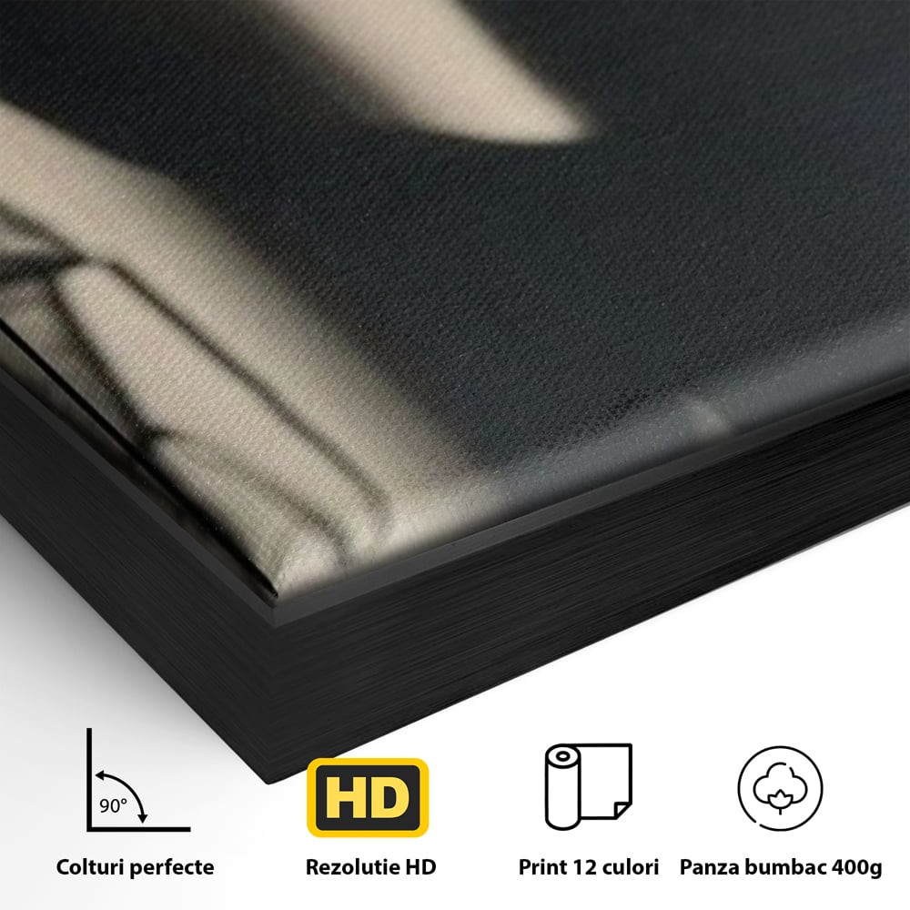 Tablou Canvas Premium, LuxCanva® P1016, Umbra Indrazneata, Silueta, Mister, Intimitate, Femeie, Senzual, Sexy, Alb, Negru, Dormitor, Living