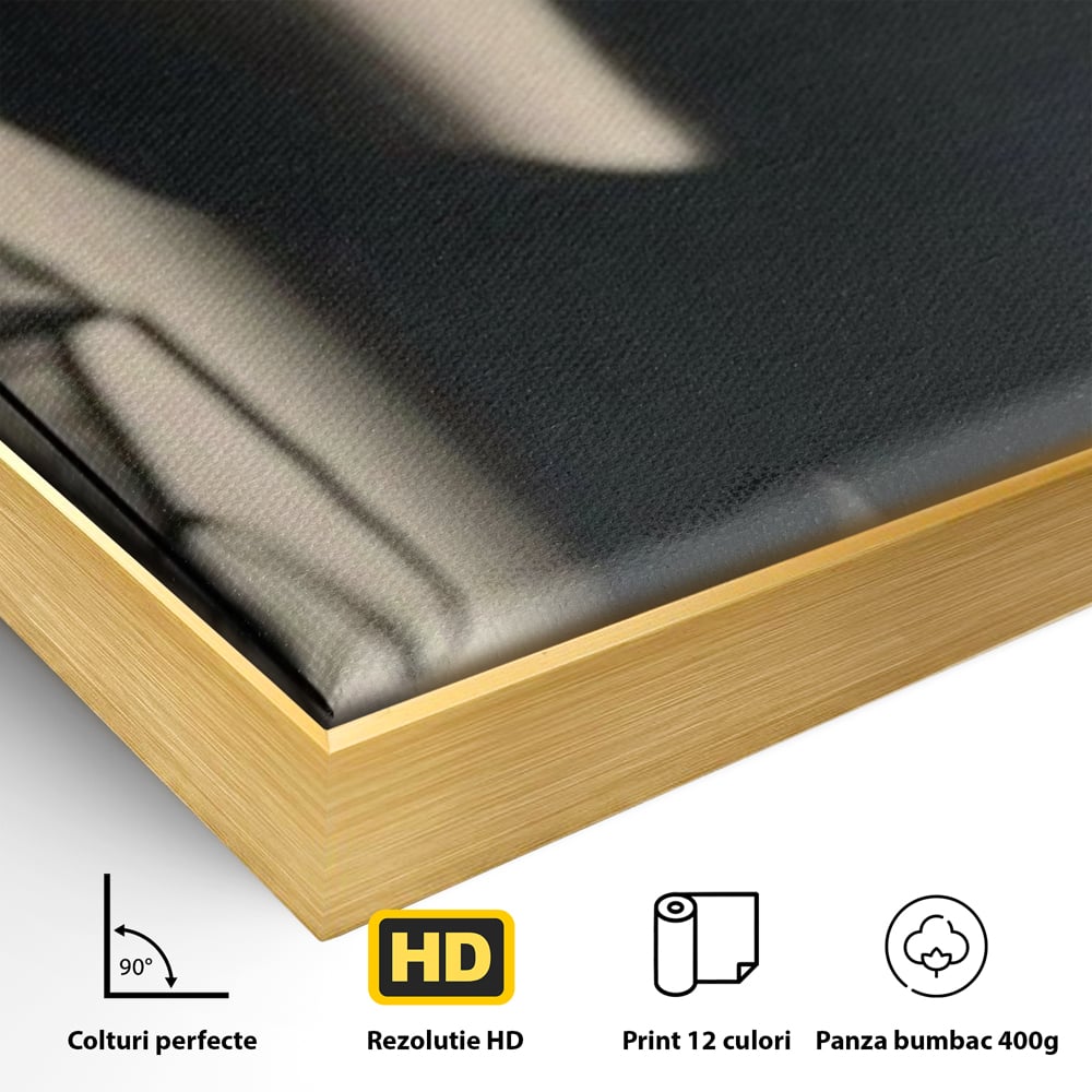 Tablou Canvas Premium, LuxCanva® P1016, Umbra Indrazneata, Silueta, Mister, Intimitate, Femeie, Senzual, Sexy, Alb, Negru, Dormitor, Living