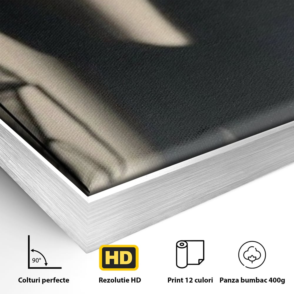 Tablou Canvas Premium, LuxCanva® P1016, Umbra Indrazneata, Silueta, Mister, Intimitate, Femeie, Senzual, Sexy, Alb, Negru, Dormitor, Living