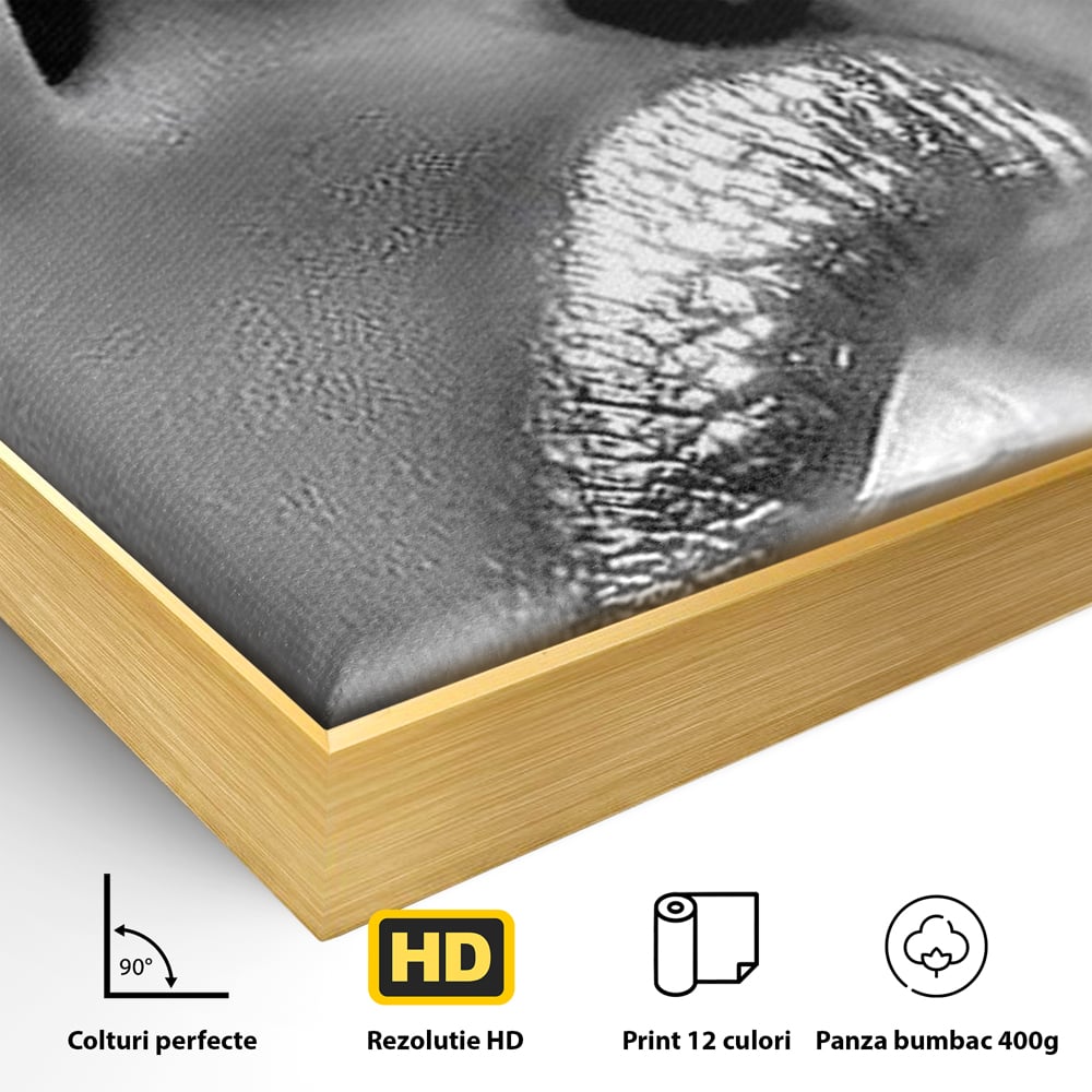 Tablou Canvas Premium, LuxCanva® P1017, Soapta de Argint, Buze, Fum, Metalic, Glamour, Alb, Negru, Seductie, Umbra, Feminitate, Dormitor, Living