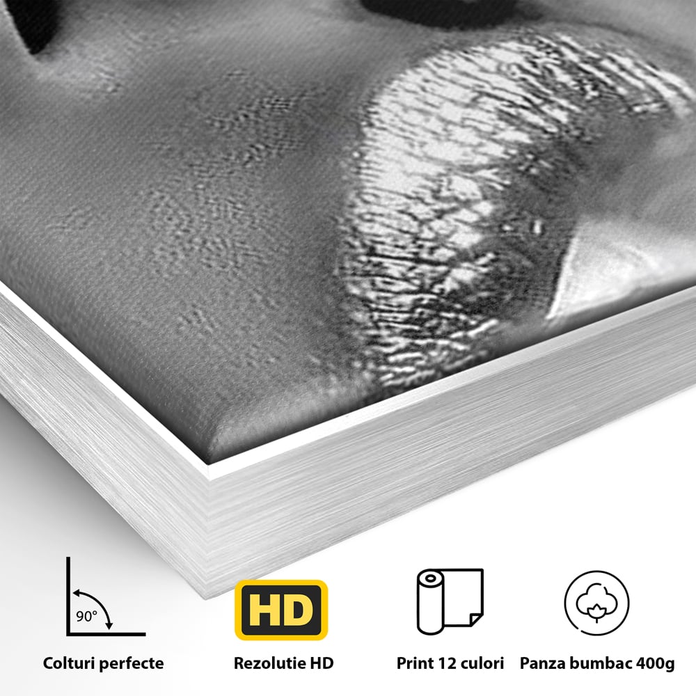 Tablou Canvas Premium, LuxCanva® P1017, Soapta de Argint, Buze, Fum, Metalic, Glamour, Alb, Negru, Seductie, Umbra, Feminitate, Dormitor, Living