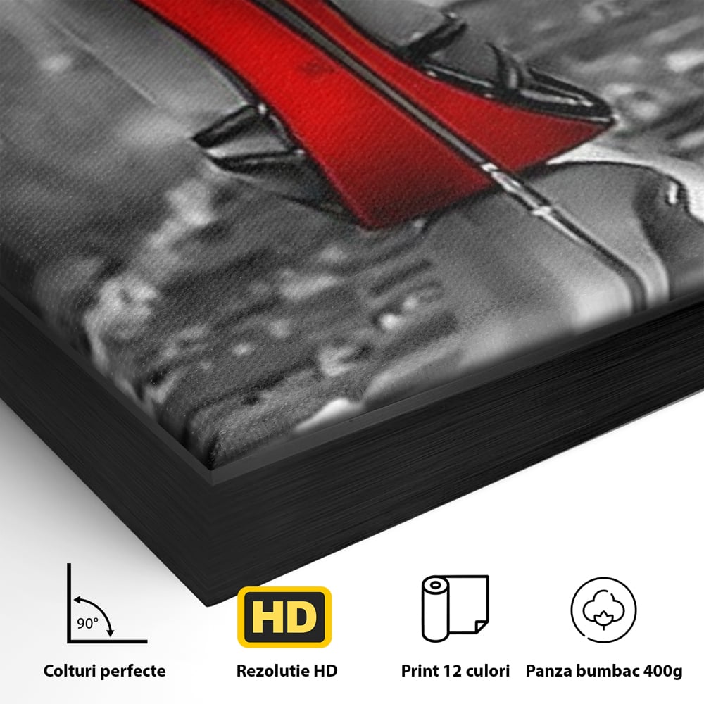 Tablou Canvas Premium, LuxCanva® P1019, Linia Seductiei, Tocuri, Rosu, Risc, Seductie, Feminitate, Putere, Sexy, Eleganta, Dormitor, Living