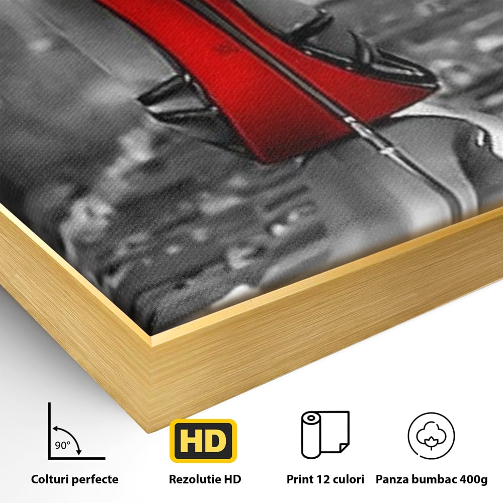 Tablou Canvas Premium, LuxCanva® P1019, Linia Seductiei, Tocuri, Rosu, Risc, Seductie, Feminitate, Putere, Sexy, Eleganta, Dormitor, Living