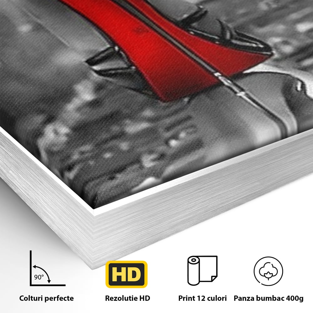 Tablou Canvas Premium, LuxCanva® P1019, Linia Seductiei, Tocuri, Rosu, Risc, Seductie, Feminitate, Putere, Sexy, Eleganta, Dormitor, Living