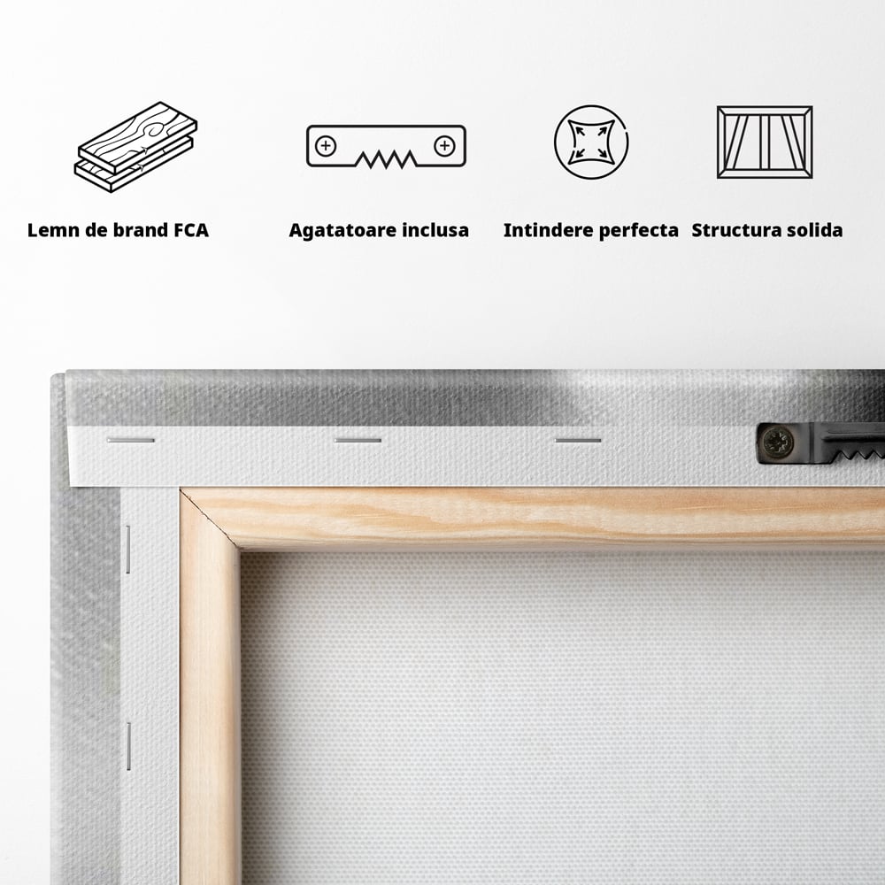 Tablou Canvas Premium, LuxCanva® P1020, Farmec Interzis, Femeie, Ruj, Rosu, Senzual, Buze, Sexy, Privire, Frumusete, Alb, Negru, Dormitor, Living
